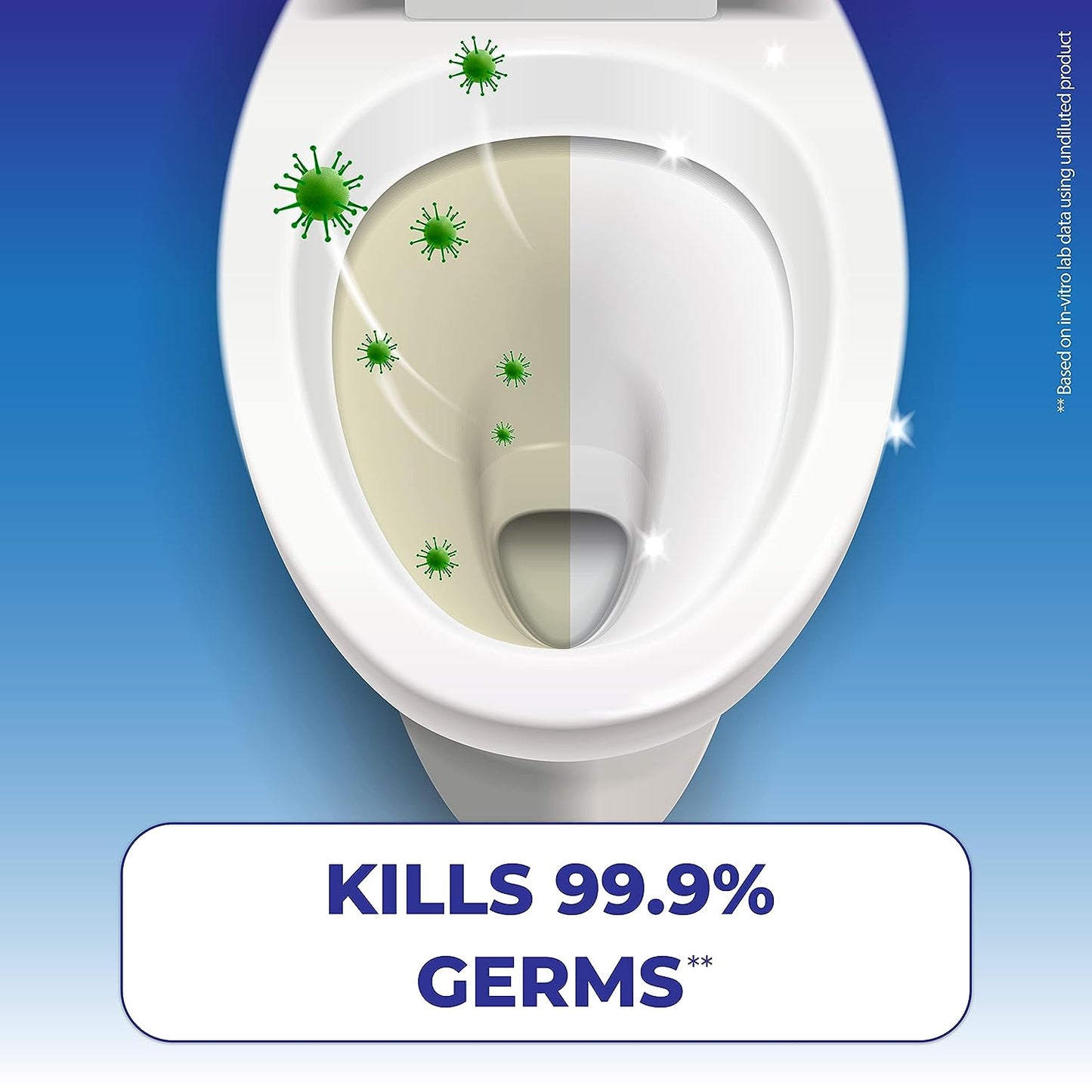 Toilet Cleaner