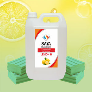 5L