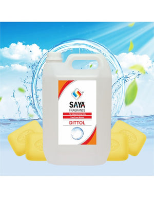 5L